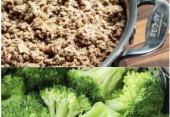 Ground Turkey & Broccoli (Veggies Only)